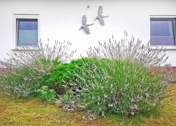 Ferienwohnung Fuhlendorf