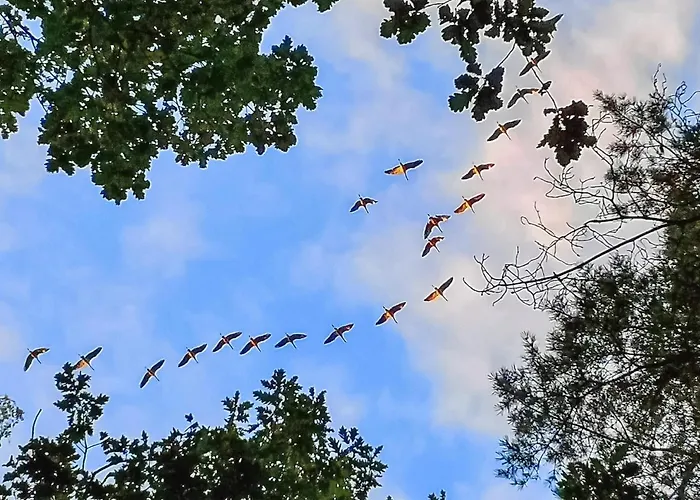 Apartmán Ferienwohnung Fuhlendorf